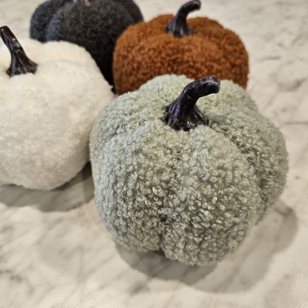 Sherpa Pumpkins Set of 4 Medium - Picture 4 of 13